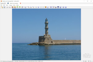 Captura de pantalla de un archivo .rw2 en XnView MP 0.93